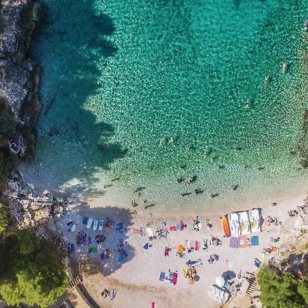 Beautiful In With Wifi Apartment *